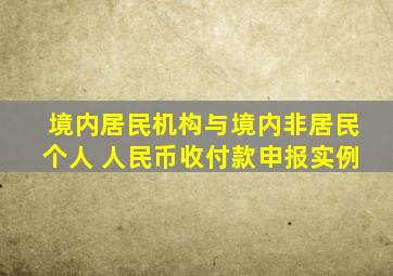 境内居民机构与境内非居民个人 人民币收付款申报实例